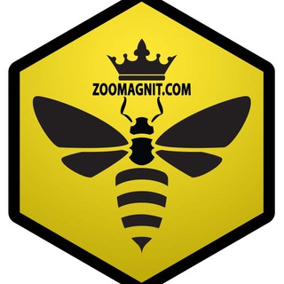 Логотип канала beekeeping_shop