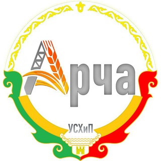 Логотип канала archauship