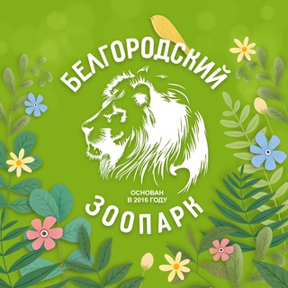 Логотип канала belzoo