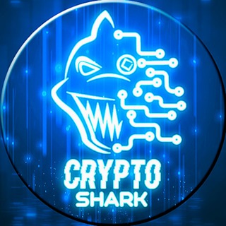 Логотип cryptoashark