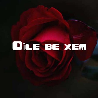 Логотип канала dile_be_xem