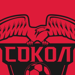 Логотип канала fcsokol_kazan