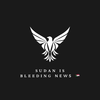 Логотип sudanisbldding