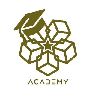 Логотип arabnetworkacademy