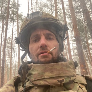 Логотип канала diomeddog