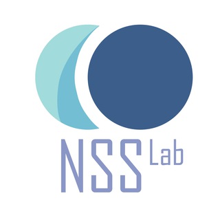 Логотип nss_group