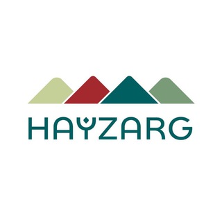 Логотип hayzarg