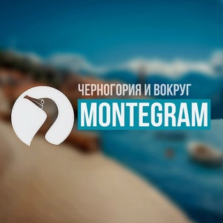 Логотип канала montegram