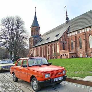 Логотип канала kaliningrad_terra