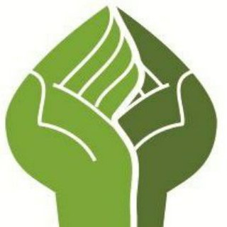 Логотип канала solidarnostfund