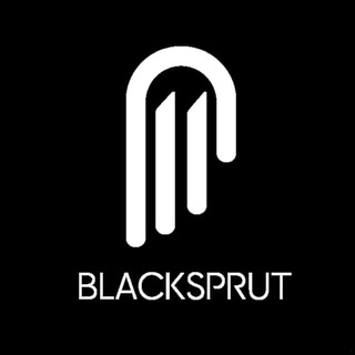 Логотип BLACKSPRUTjatjb