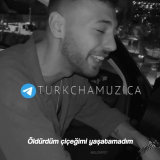 Логотип канала turkchamuzica