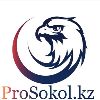 Логотип канала prosokol