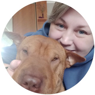 Логотип канала sharpei_bruny