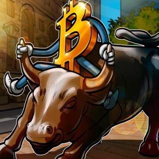 Логотип канала cryptoxbulls