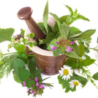 Логотип канала askariworkshops_herbal