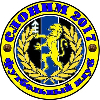 Логотип fcslonim2017