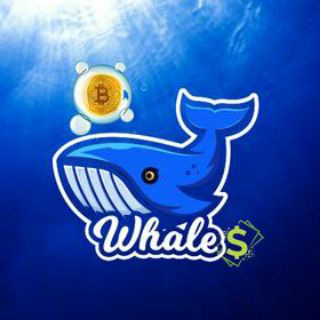 Логотип канала whales_cryptonewz