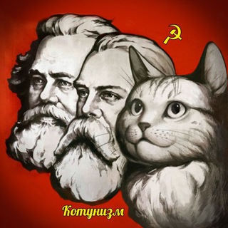 Логотип канала catunism