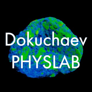 Логотип канала dokuchaev_physlab