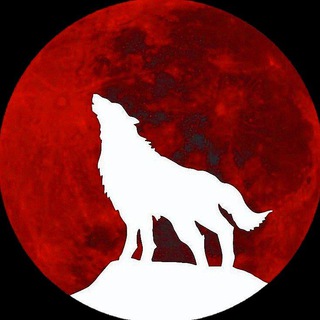 Логотип канала stepnoy_wolk05