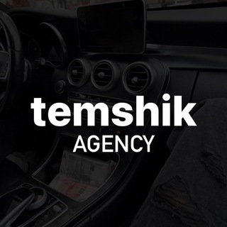 Логотип канала temshik_agency