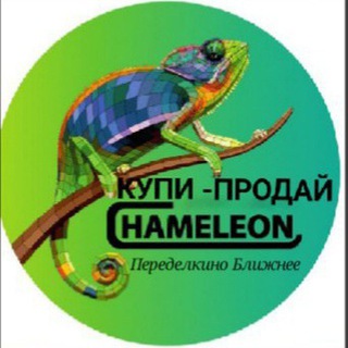 Логотип канала chameleon_pb