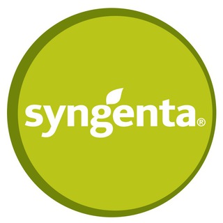 Логотип канала syngenta_vegetables_seeds