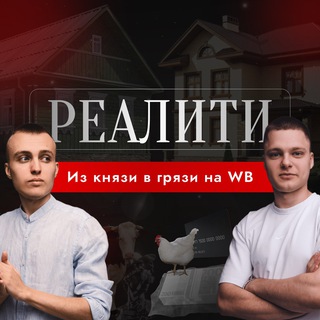 Логотип канала realitywbshniki