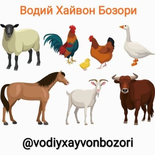 Логотип andijonhayvonbozoriii