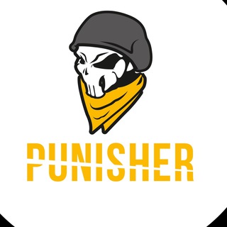 Логотип канала punisherua