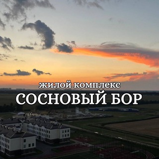 Логотип канала sosnoviyborkrd