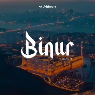 Логотип канала binurr