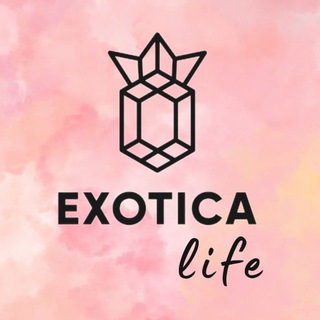 Логотип exoticastudiospb