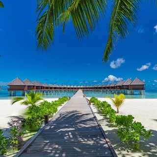 Логотип maldives_turist