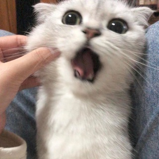 Логотип glicerol