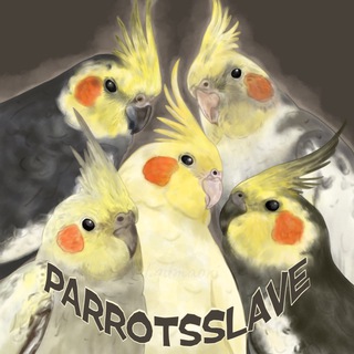 Логотип канала parrotsslave