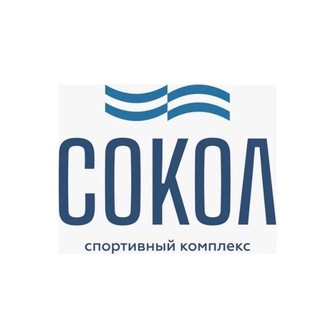 Логотип канала SOK_Sokol