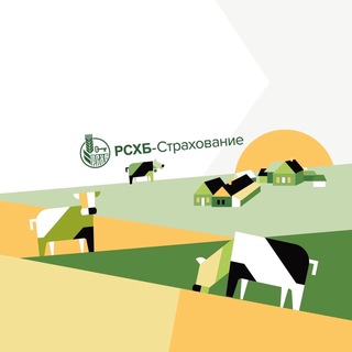 Логотип канала rshb_insurance