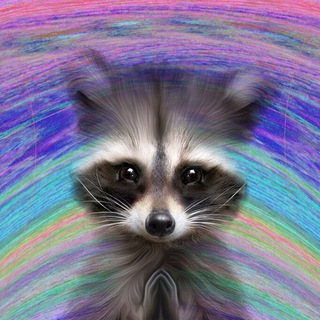 Логотип канала digital_raccoon