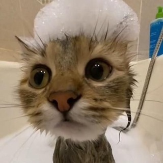 Логотип канала themesla