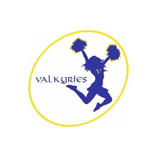 Логотип канала valkyries_vologda