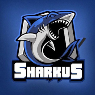 Логотип канала sharkus1