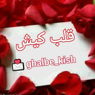 Логотип канала ghalbe_kish