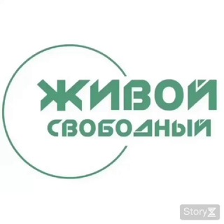 Логотип канала svblive