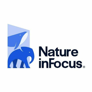 Логотип канала naturein_focus