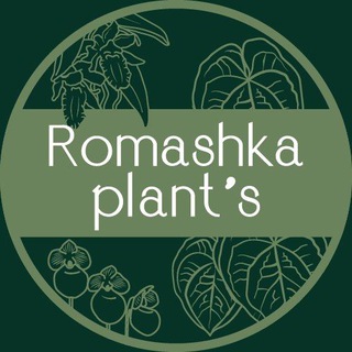 Логотип канала romashka_plants