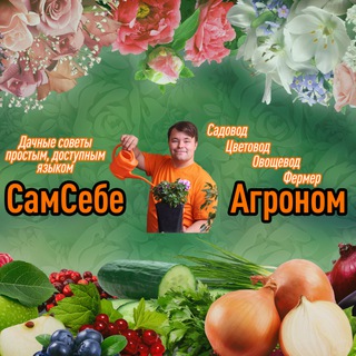 Логотип канала SamSebeAgronom