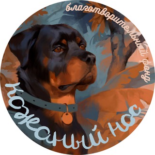 Логотип канала rottweiler_artem