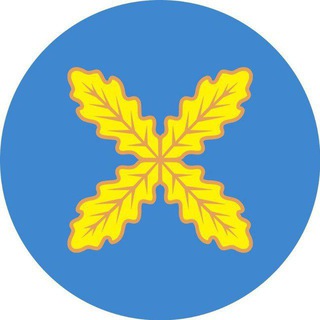 Логотип admhohol